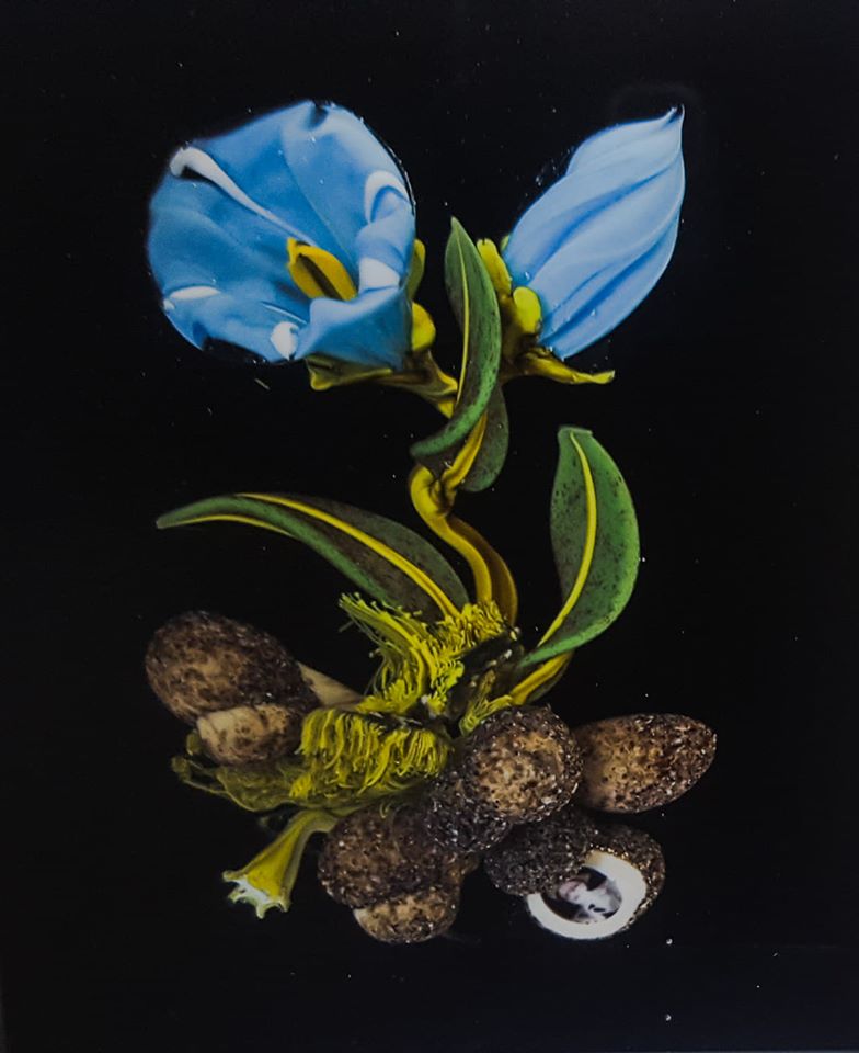 Portrait of James Joyce Paul Stankard