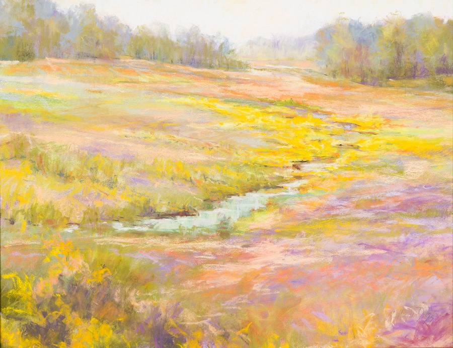 Mary Ann Davis Spring Field